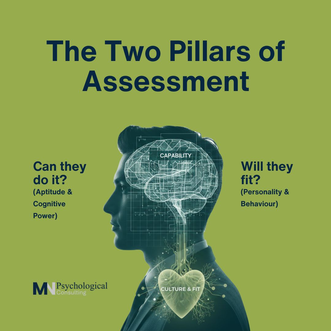Infographic titled "The Two Pillars of Assessment" showing a silhouette of a man with a digital brain labeled "Capability" and a digital heart labeled "Culture & Fit," distinguishing between aptitude and personality.